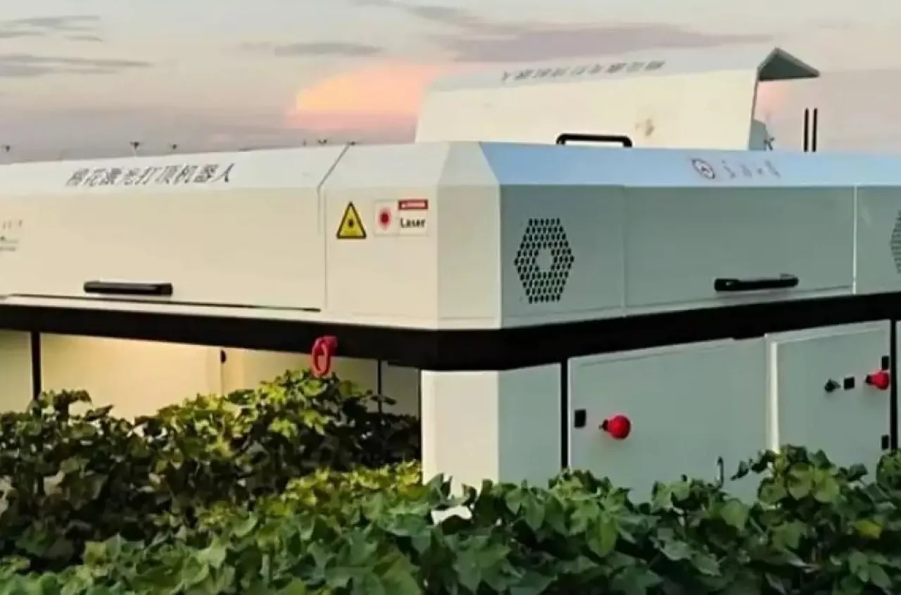 Ten robot wypala 320 tysięcy chwastów w godzinę. Nowy hit z Chin