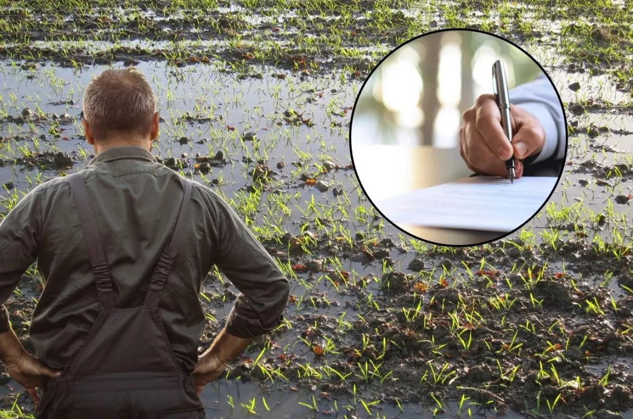 komisje klęskowe kto ma je finansować