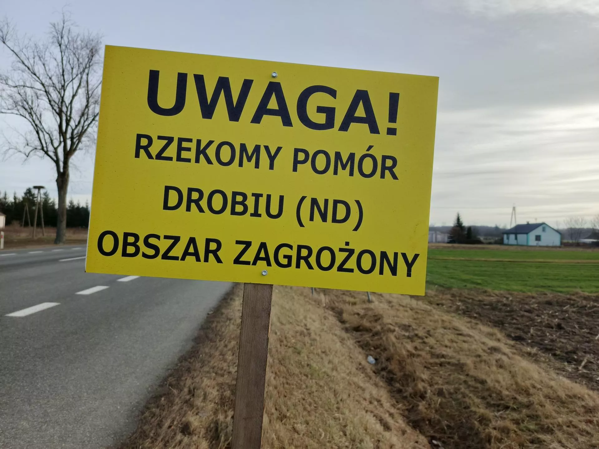 Będą wakacje kredytowe dla rolników? "Tracą dochody"