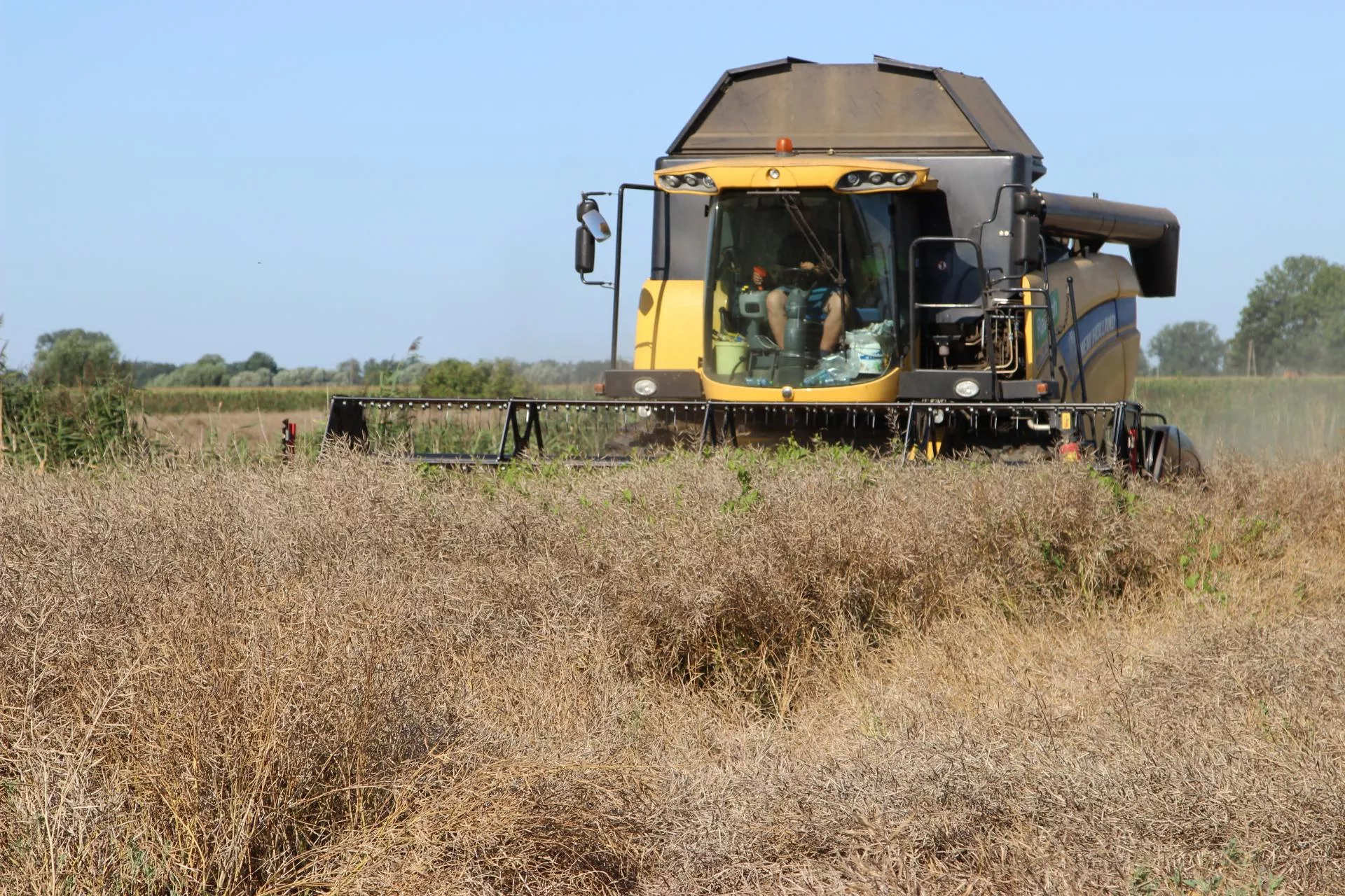 Rolnik ma udział w ziemi rolnej. Czy może ją sprzedać bez zgody reszty współwłaścicieli?