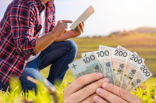 Będą wakacje kredytowe dla rolników? ”Tracą dochody”