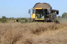 Rolnik ma udział we wspólnym gruncie rolnym. Zastanawia się czy może go sprzedać