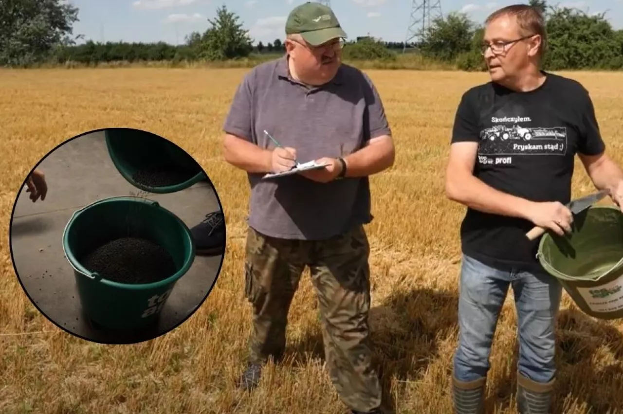 Pogotowie polowe - jak siać międzyplony