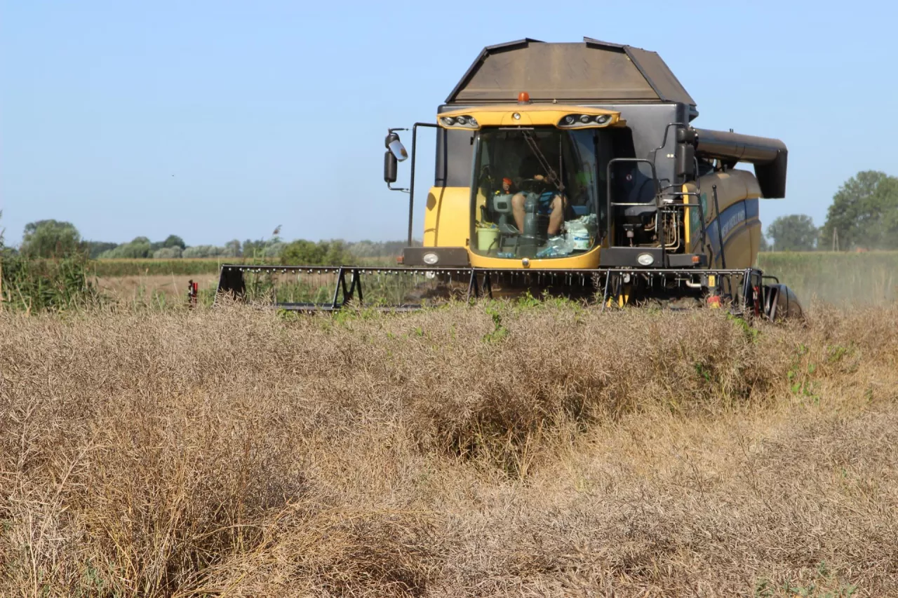 Rolnik ma udział we wspólnym gruncie rolnym. Zastanawia się czy może go sprzedać