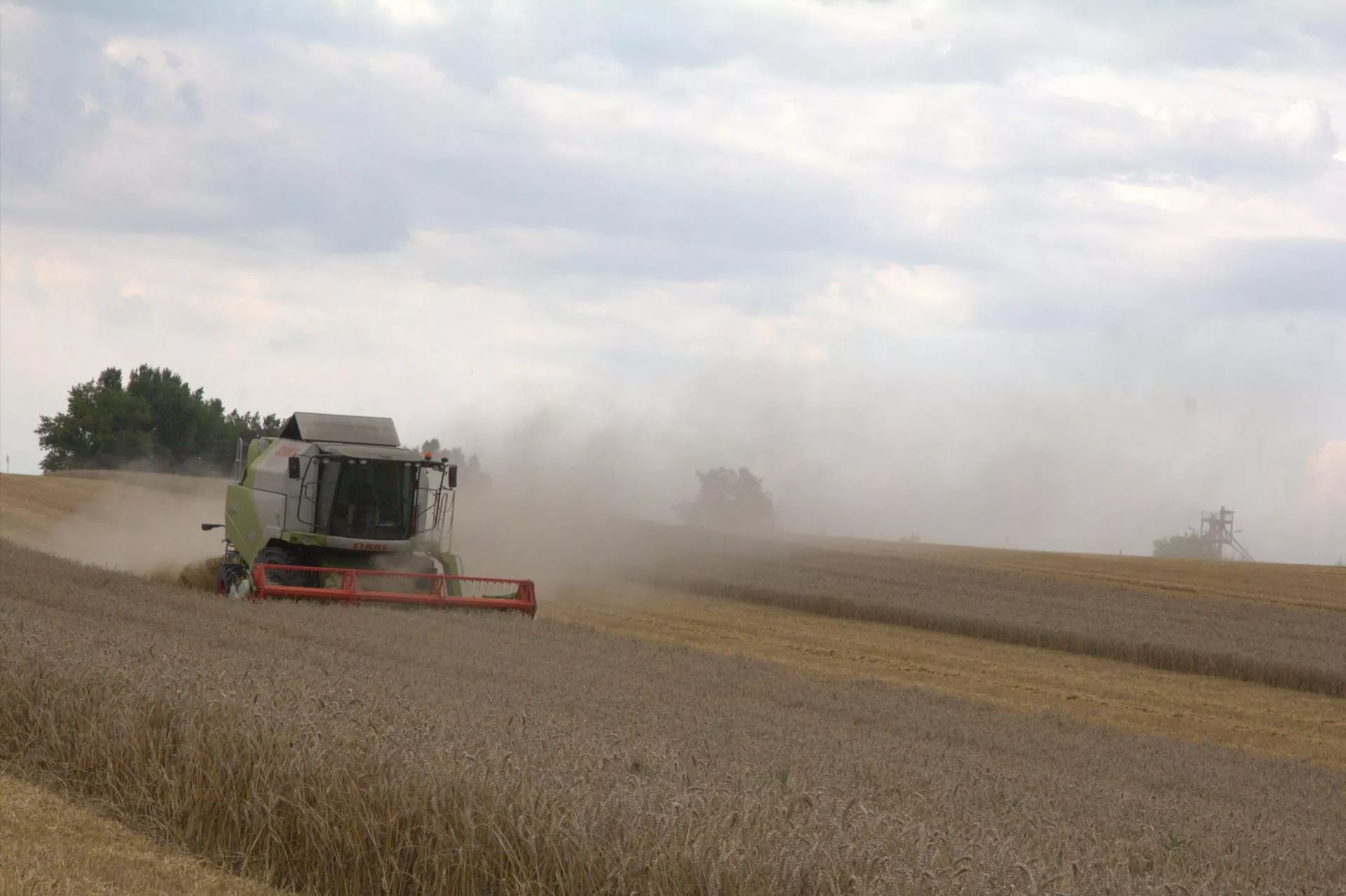 Jaka wysokość czynszu za ziemię z KOWR?