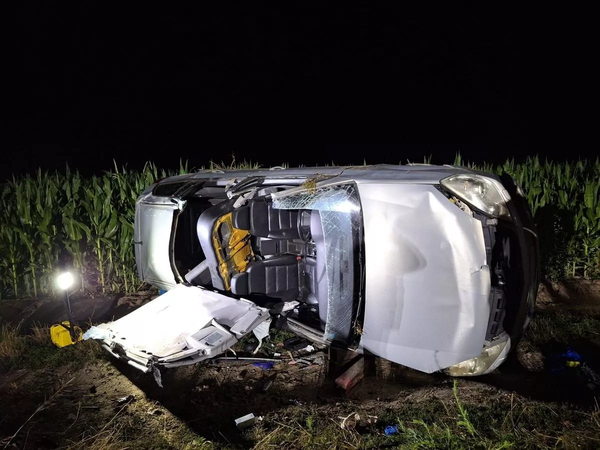 Uciekł w ciemność pola kukurydzy. Złapał go świt... i policjant po służbie