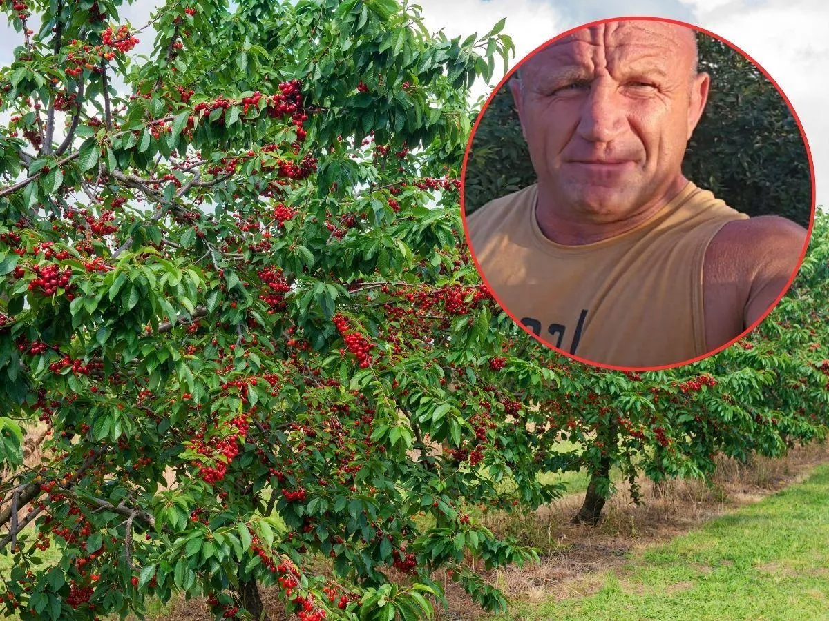 Kataklizm w sadzie Pudziana. "Zbiorę 3-4 kg"