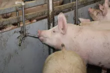 Kontrola poboru wody w gospodarstwie. Co rolnik powinien wiedzieć?