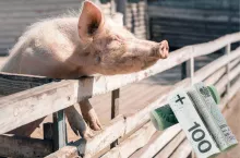 Rolnictwo 4.0: eksperci ARiMR podpowiedzą, jak uniknąć błędów we wniosku