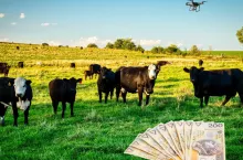 ARiMR aktualizuje mapy, rolnicy tracą dopłaty. Czy to się zmieni?