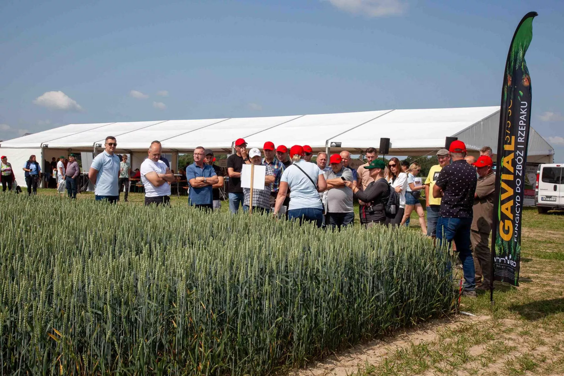 Flufenacet tylko do końca 2026. INNVIGO rekomenduje substancje zastępcze