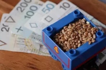 Ile pszenicy trzeba sprzedać, żeby kupić 1 hektar ziemi? Wynik szokuje