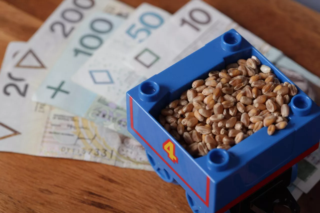 Ile pszenicy trzeba sprzedać, żeby kupić 1 hektar ziemi? Wynik szokuje