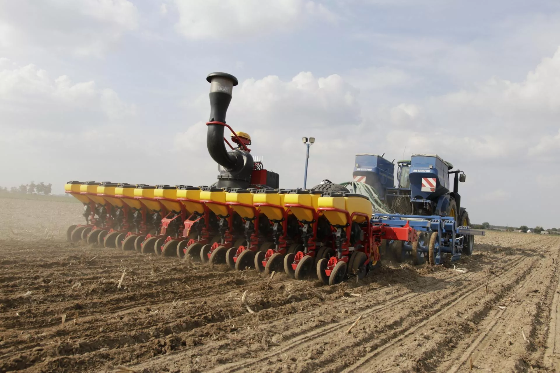 Rzepak: kiedy siać, by dobrze przezimował?