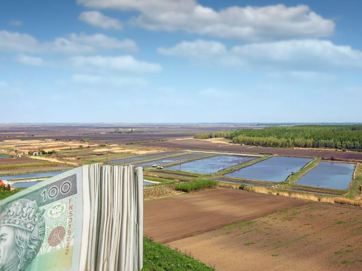 KOWR sprzeda 140-ha gospodarstwo na Podlasiu. Jaka cena?