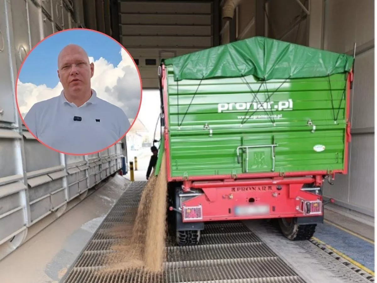 Ceny zbóż jak w latach 90. Rolnicy dokładają do hektara, ale GUS robi z nich milionerów