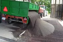 Kiedy mamy do czynienia z oszustwem na skupie rzepaku?