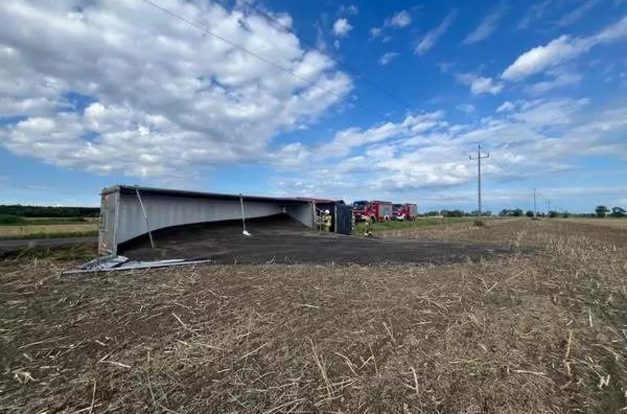 Rzepak rozsypany na polu. Groźny wypadek TIR-a pod Oleśnicą