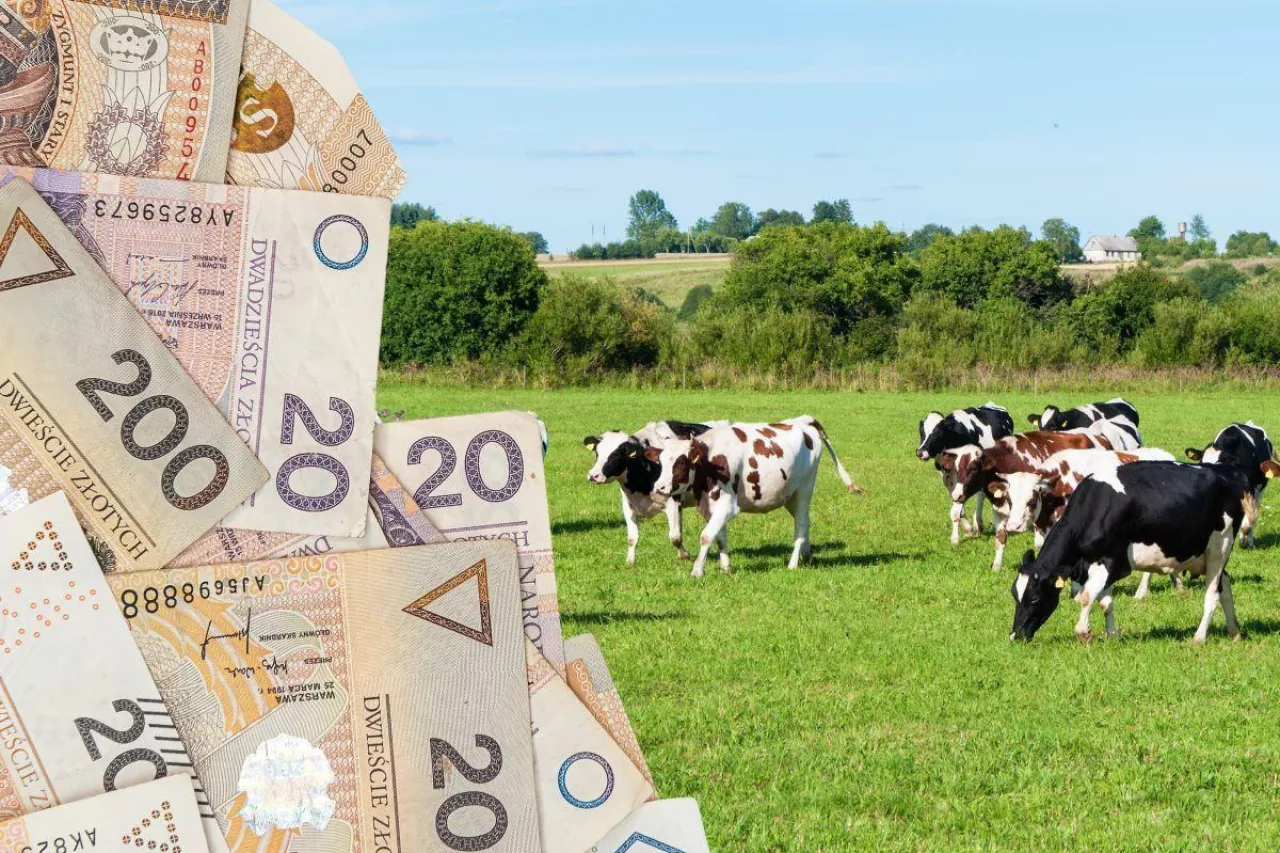 Rolnicy mają tydzień na złożenie dokumentów do ARiMR. Inaczej stracą dopłaty