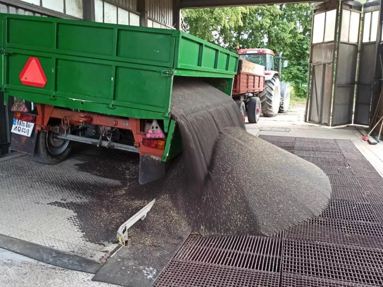 Kiedy mamy do czynienia z oszustwem na skupie rzepaku?