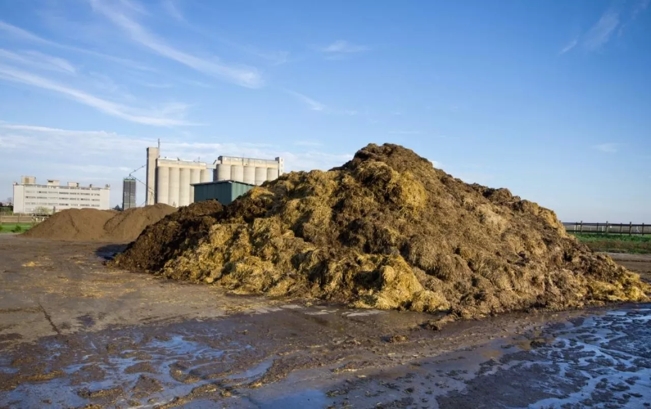 Płyta obornikowa, dopłaty