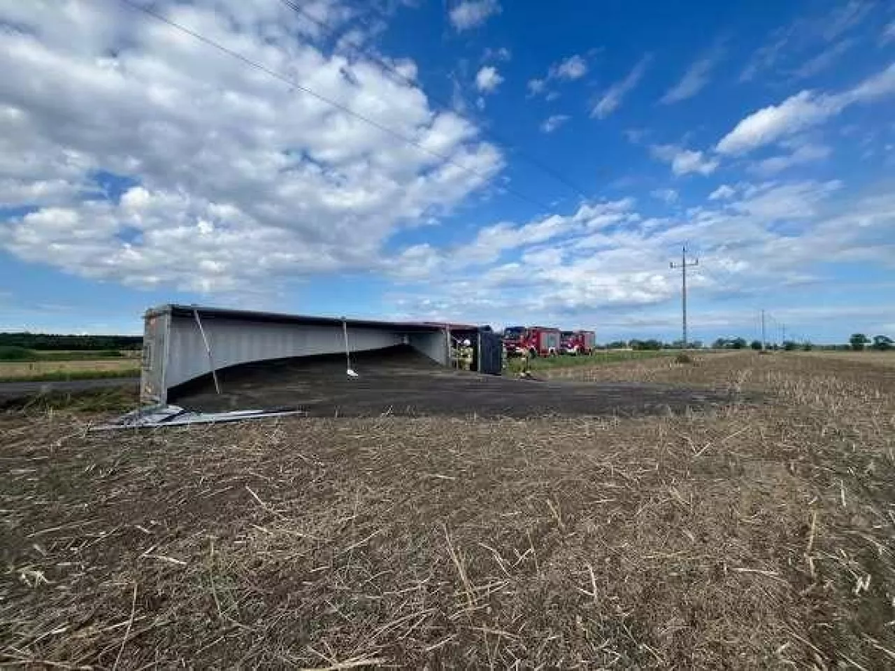 Tony rzepaku na drodze i polu po przewróceniu się ciężarówki