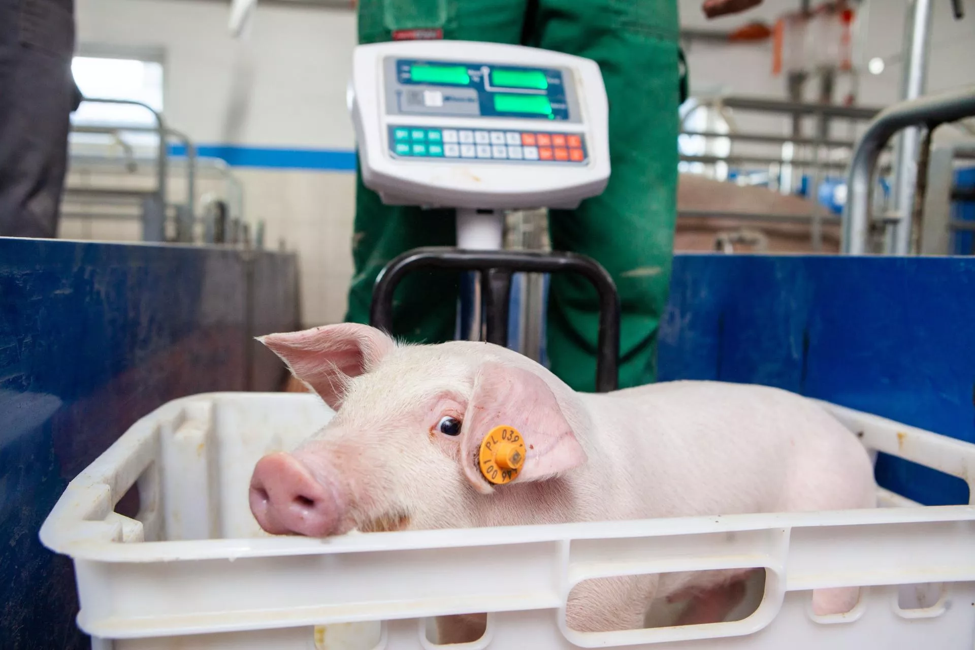 ARiMR wydłuża nabór. Rolnicy mają jeszcze szansę na 200 tys. zł