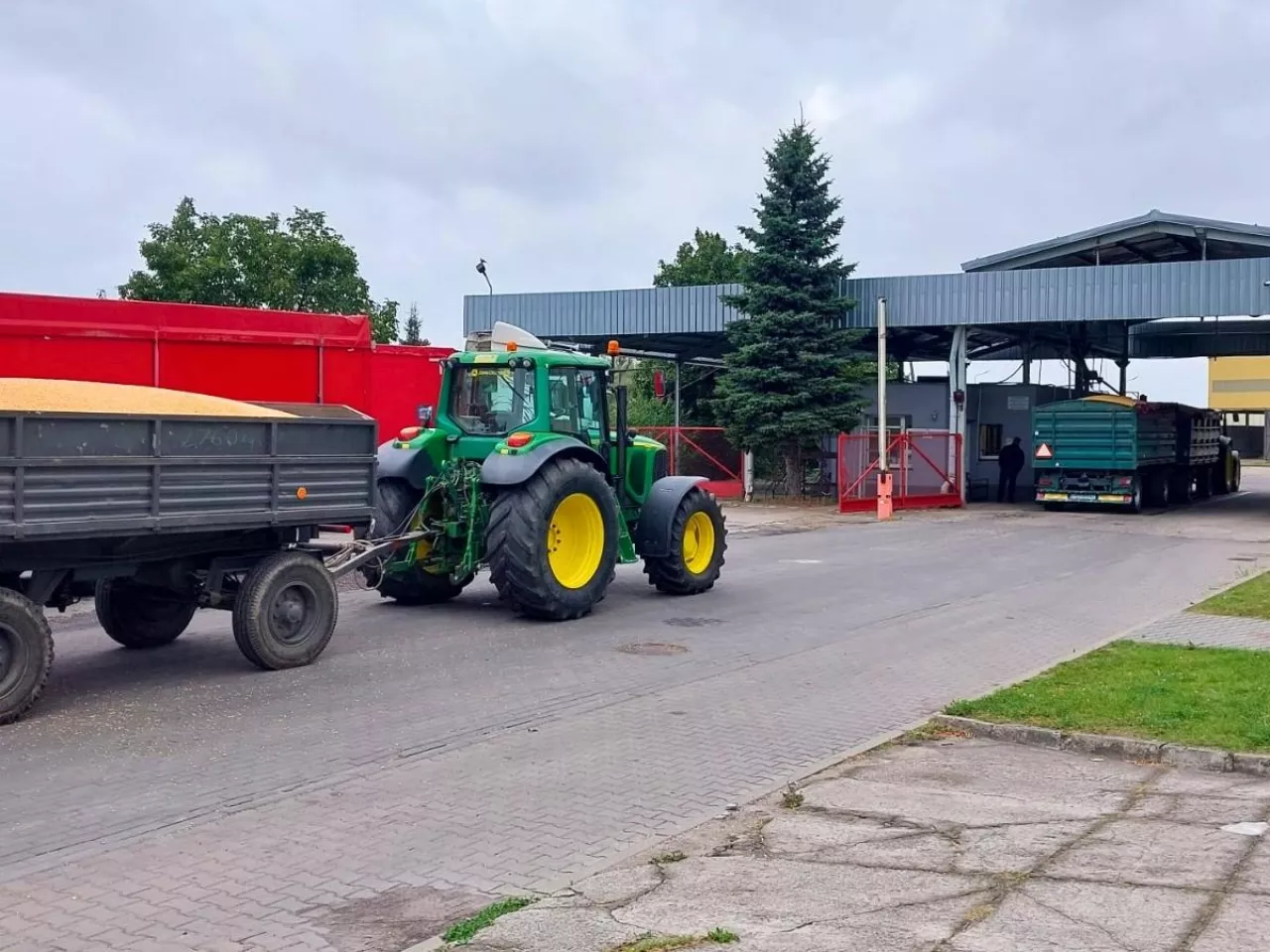Żniwa szarpane, ceny zbóż niepewne. A nawozy grają w kotka i myszkę [Raport rynkowy 25.07.2025]
