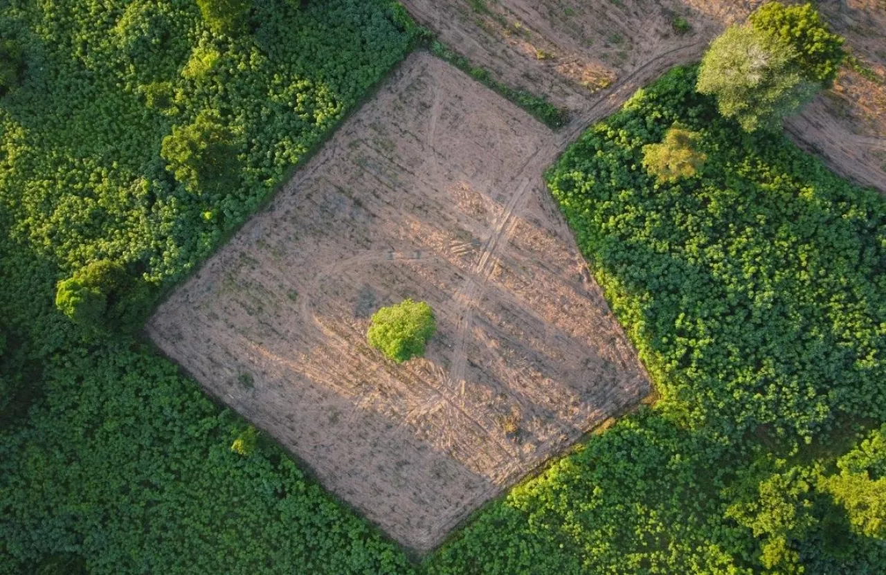działki graniczące z polem uprawnym