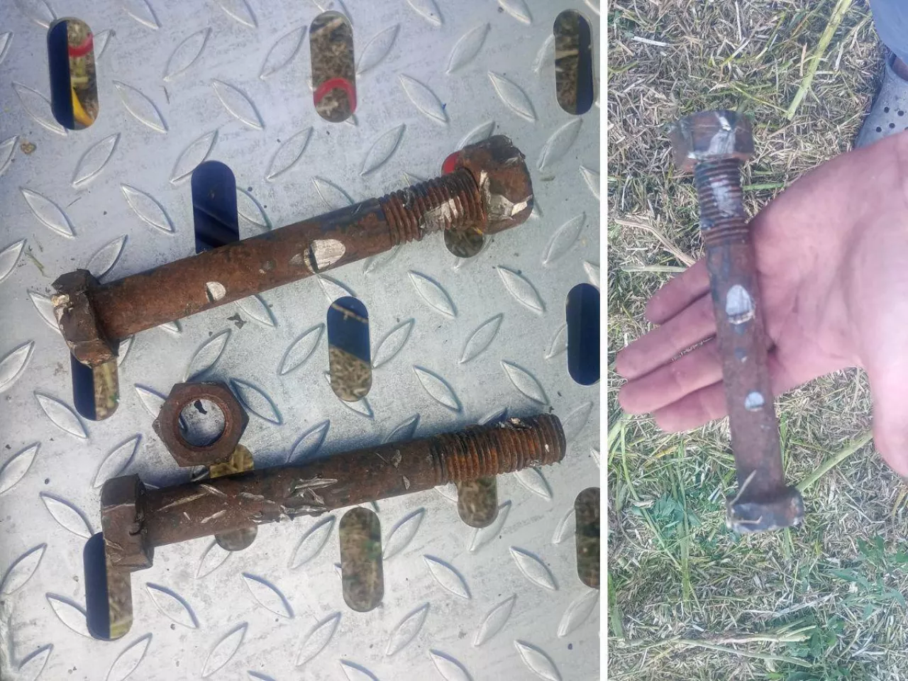 Bandyta podłożył rolnikowi śruby w rzepaku. 30 tys. zł za wskazanie sprawcy