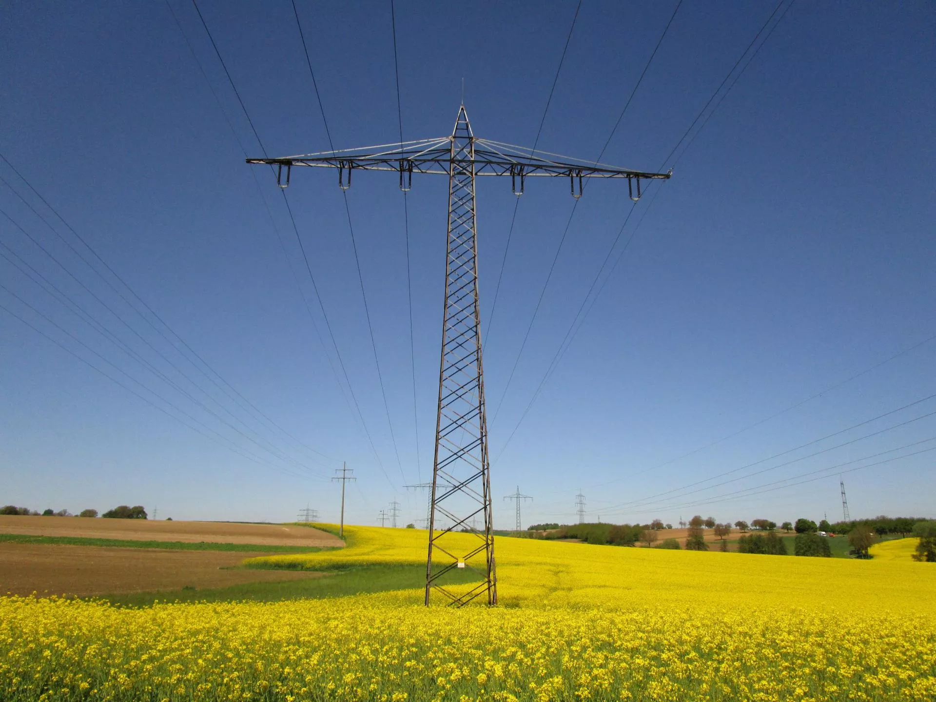 Rolnicy dostaną rekompensaty za słupy na polu? Ministerstwo odpowiada