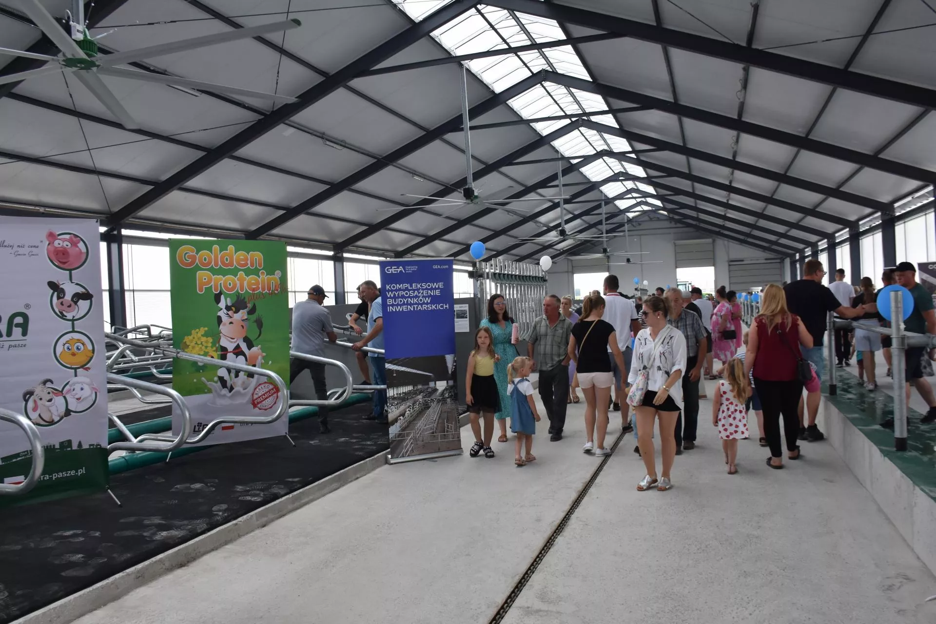 Trzy roboty udojowe i 150 krów. Rolnicy spod Łodzi zbudowali oborę marzeń