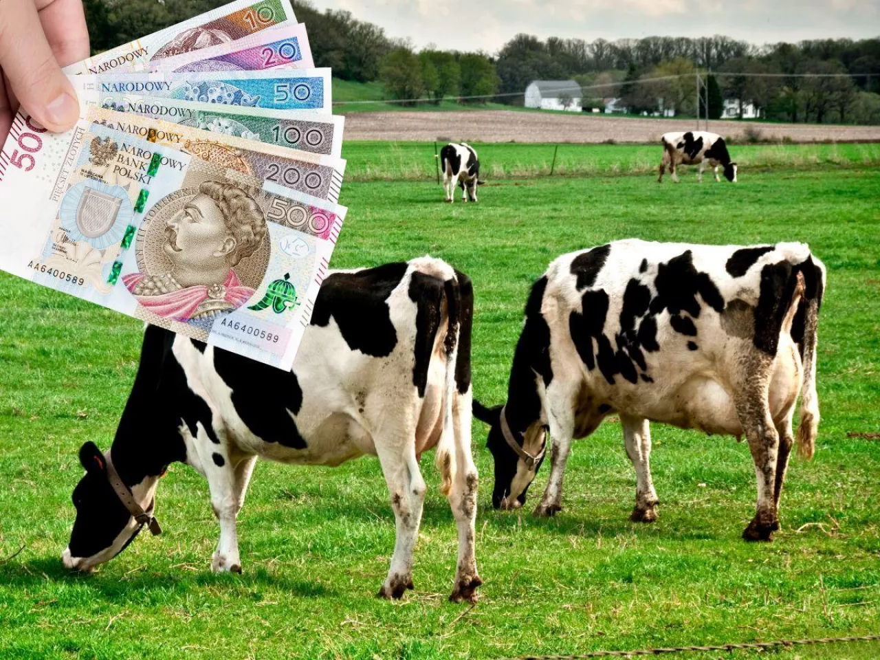 ARiMR nie poczeka. Rolnicy mają 3 dni, potem stracą dopłaty