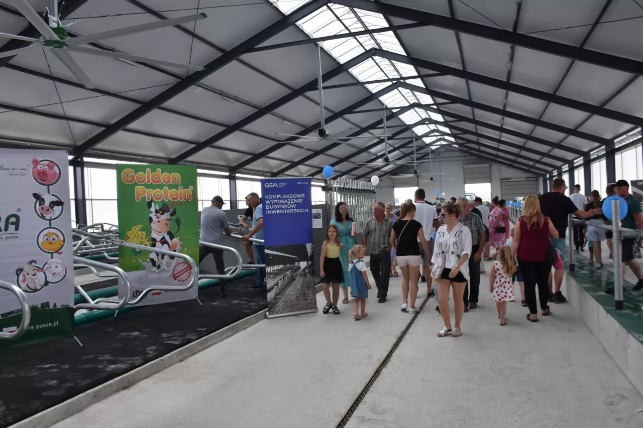 Na legowiskach zastosowano maty gumowe wypełnione warstwą gąbki, za wentylację odpowiada 7 poziomych mieszaczy powietrza