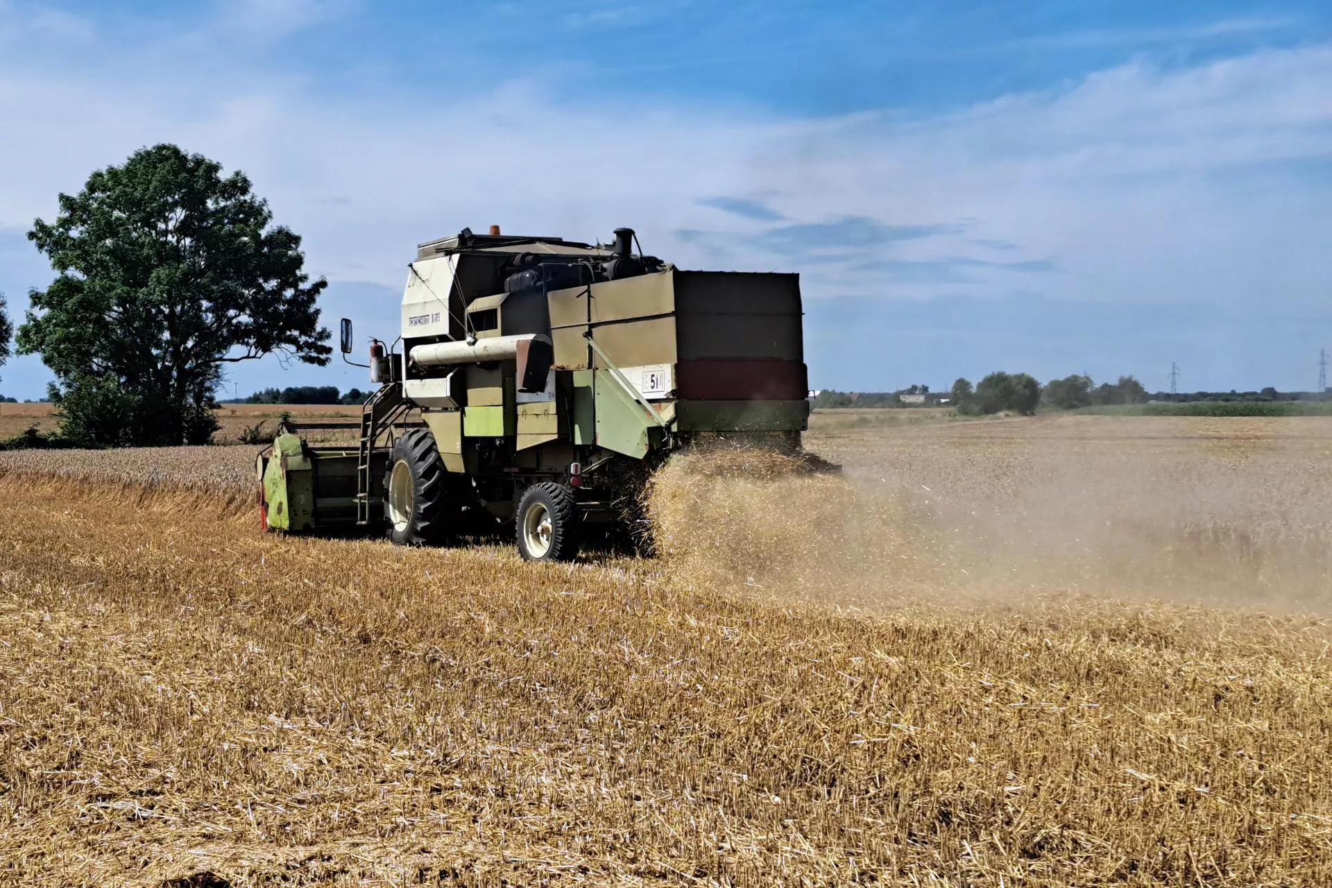 Rolnicy magazynują zboże na przyczepach, skupy odmawiają. Trudne żniwa 2025