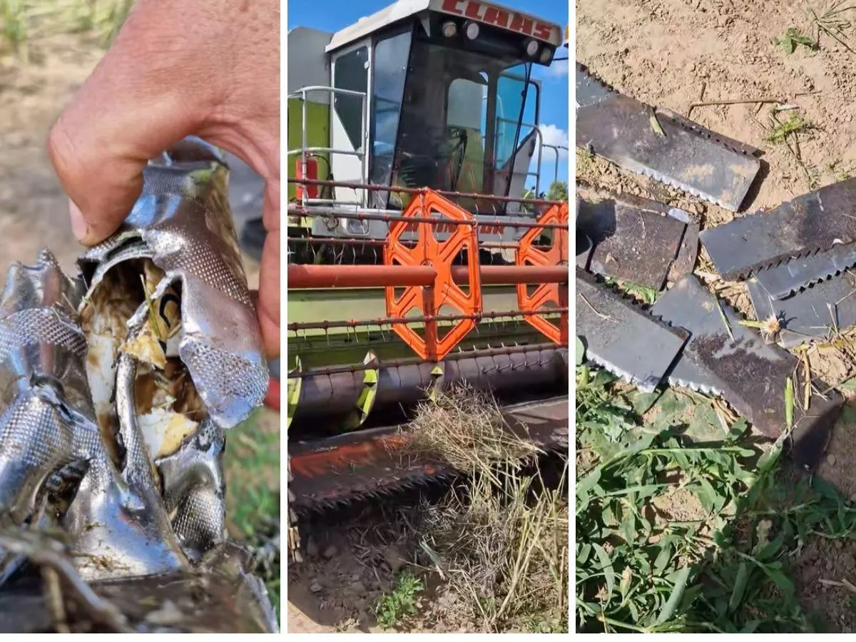 Żniwa zmieniły się w koszmar. „Mogło nas podziurawić jak ser szwajcarski” [WIDEO]