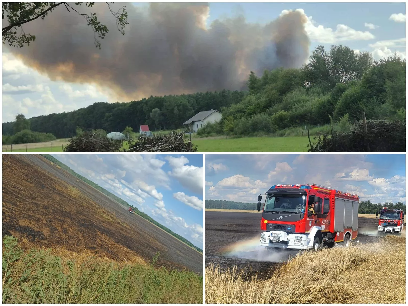 Ogromny pożar pod Stargardem. Spłonęło 20 ha zboża