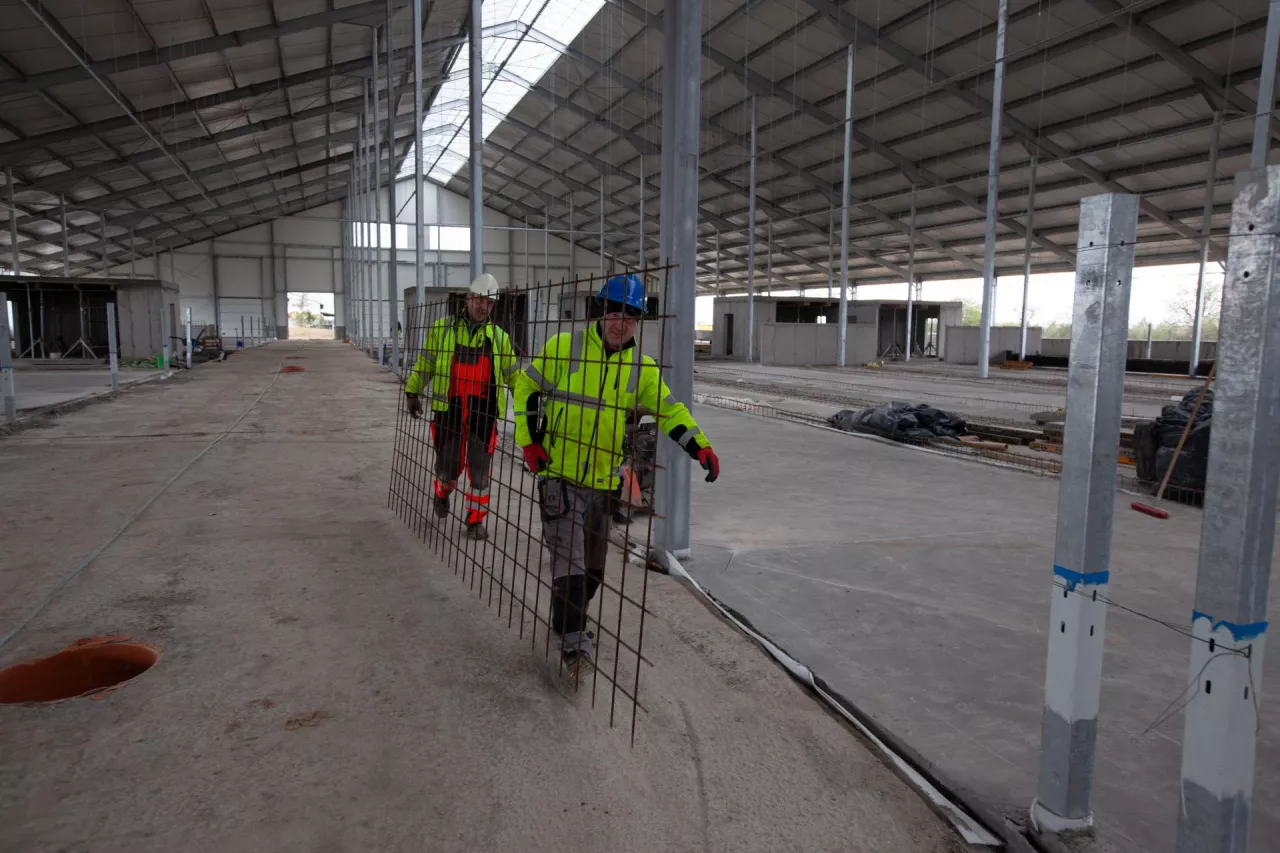 Aktywiści blokują chlewnie i obory. Rolnicy mają dość, apelują do rządu