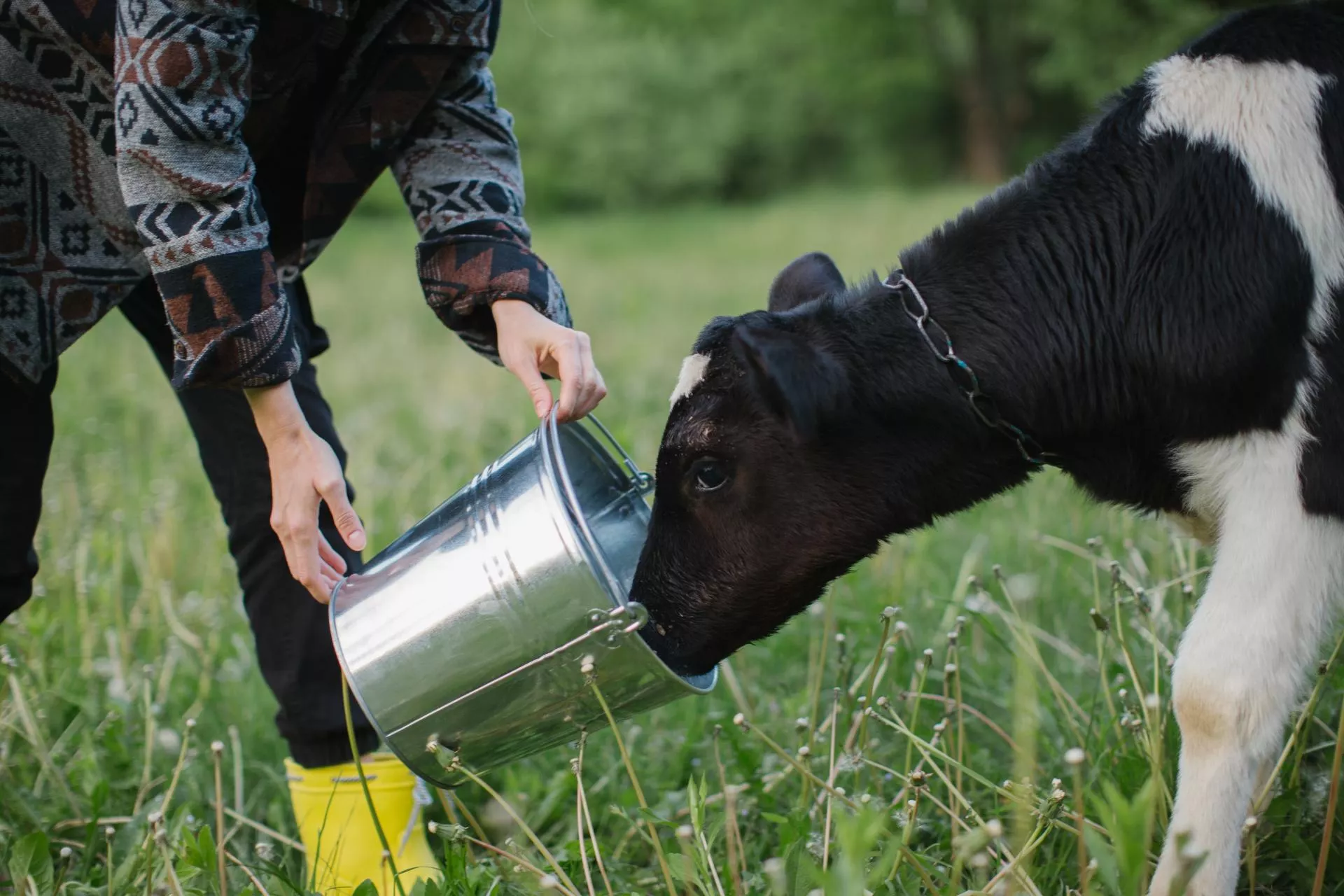 "Chwilowe" bez wody. A w sobotę na gospodarstwach brak wody przez osiem godzin