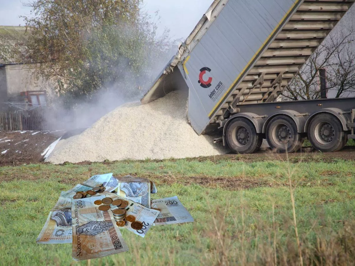 Pasza dla poszkodowanych rolników. Ruszył nabór na wysłodki buraczane