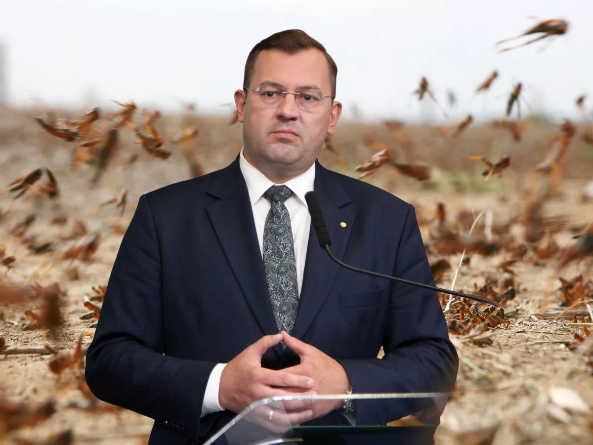 Szarańcza blisko polskiej granicy. Minister Krajewski: szykujemy drony i przepisy