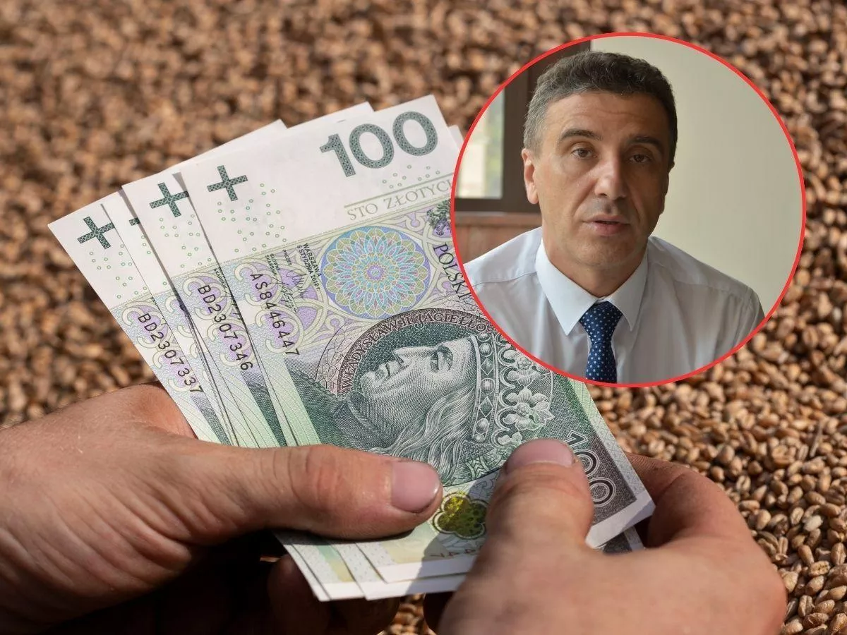 Pszenica 200 zł na minusie. "Rolnik dokłada, rząd się przygląda"