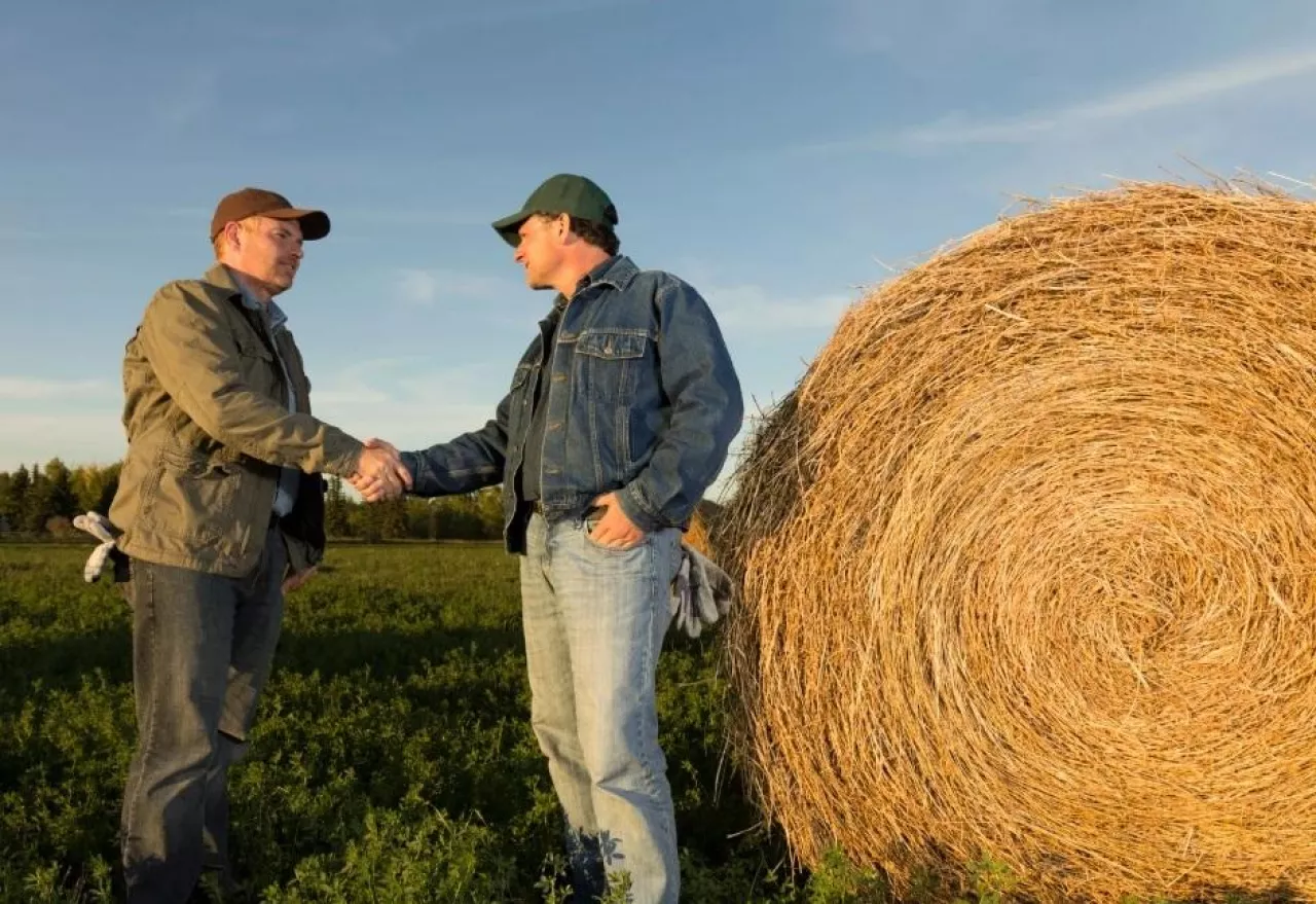 Wnioski arimr dla młodego rolnika