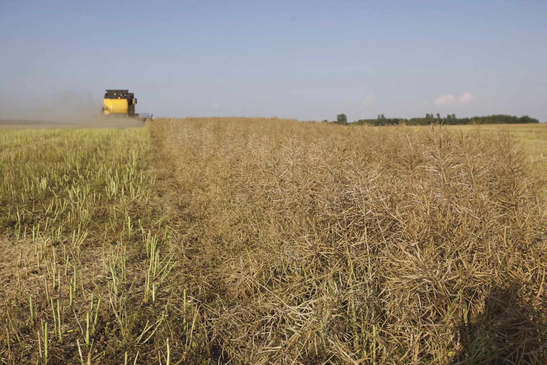 Jak gwałtownie oczyścić kombajn po żniwach? Ceny i przegląd dmuchaw