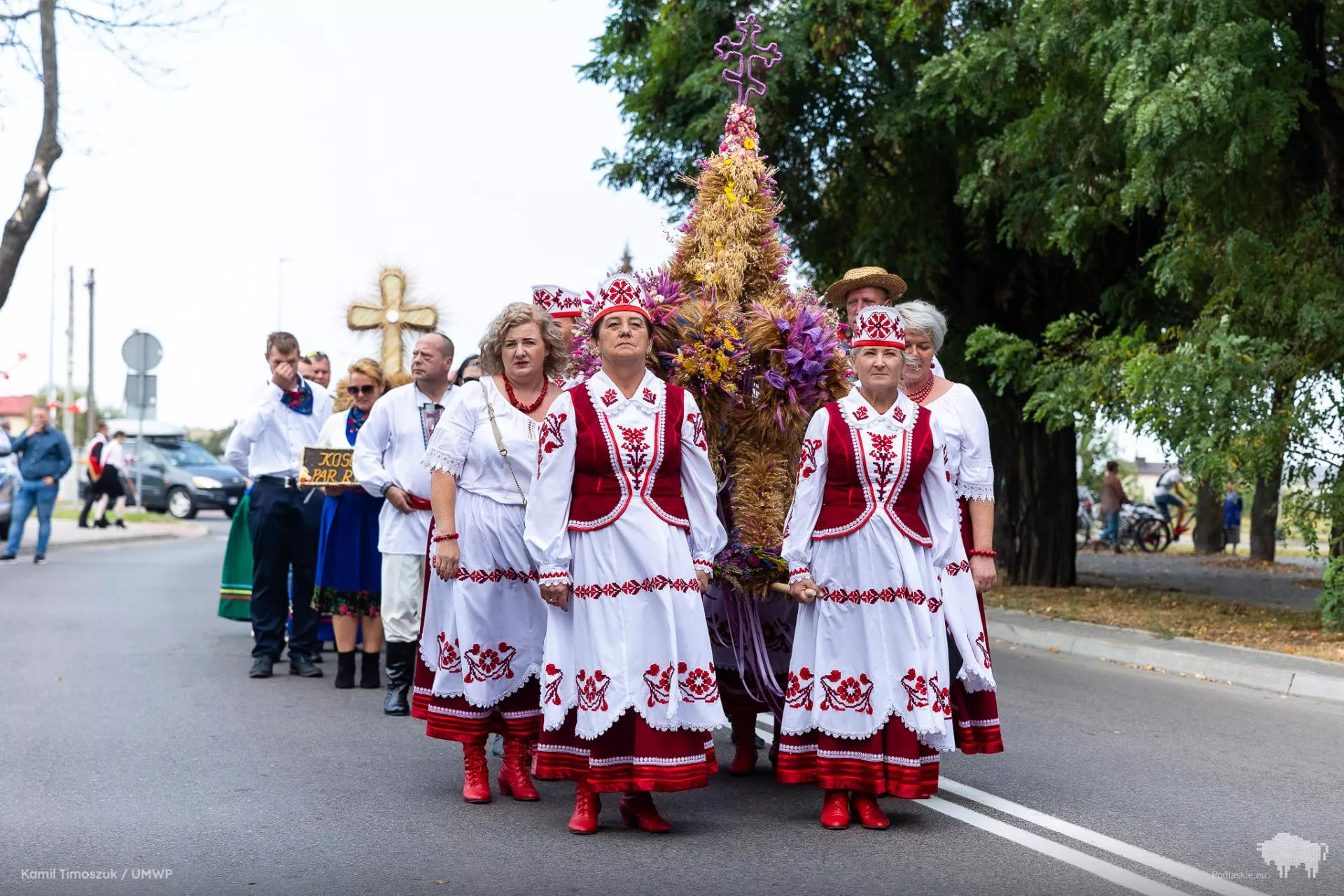 Pogoda utrudnia żniwa. Sołtys z Lubelszczyzny zabiera głos ws. dożynek