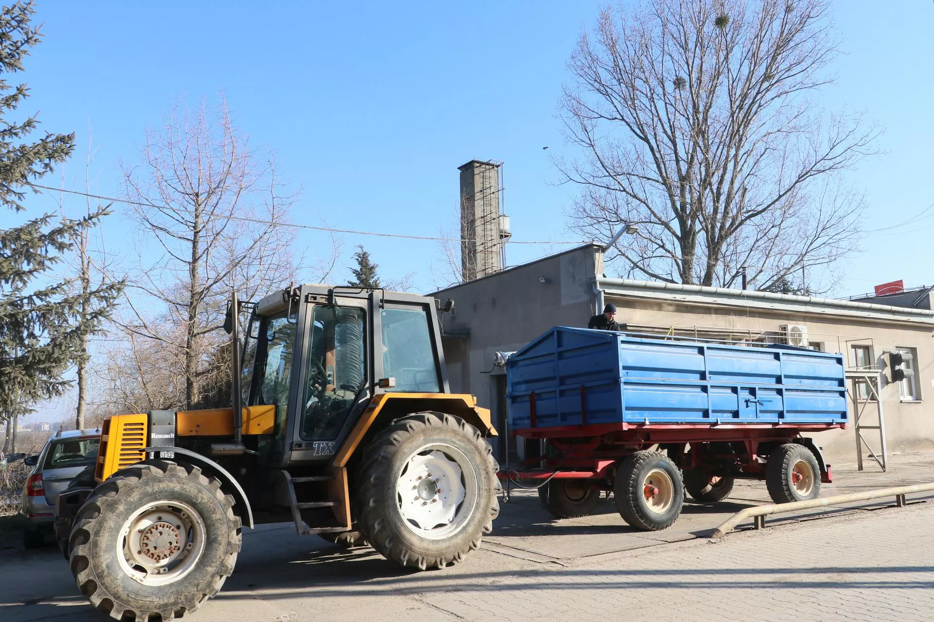 Rzepak lekko w dół, pszenica się trzyma – aktualne ceny z punktów skupu [SONDA]