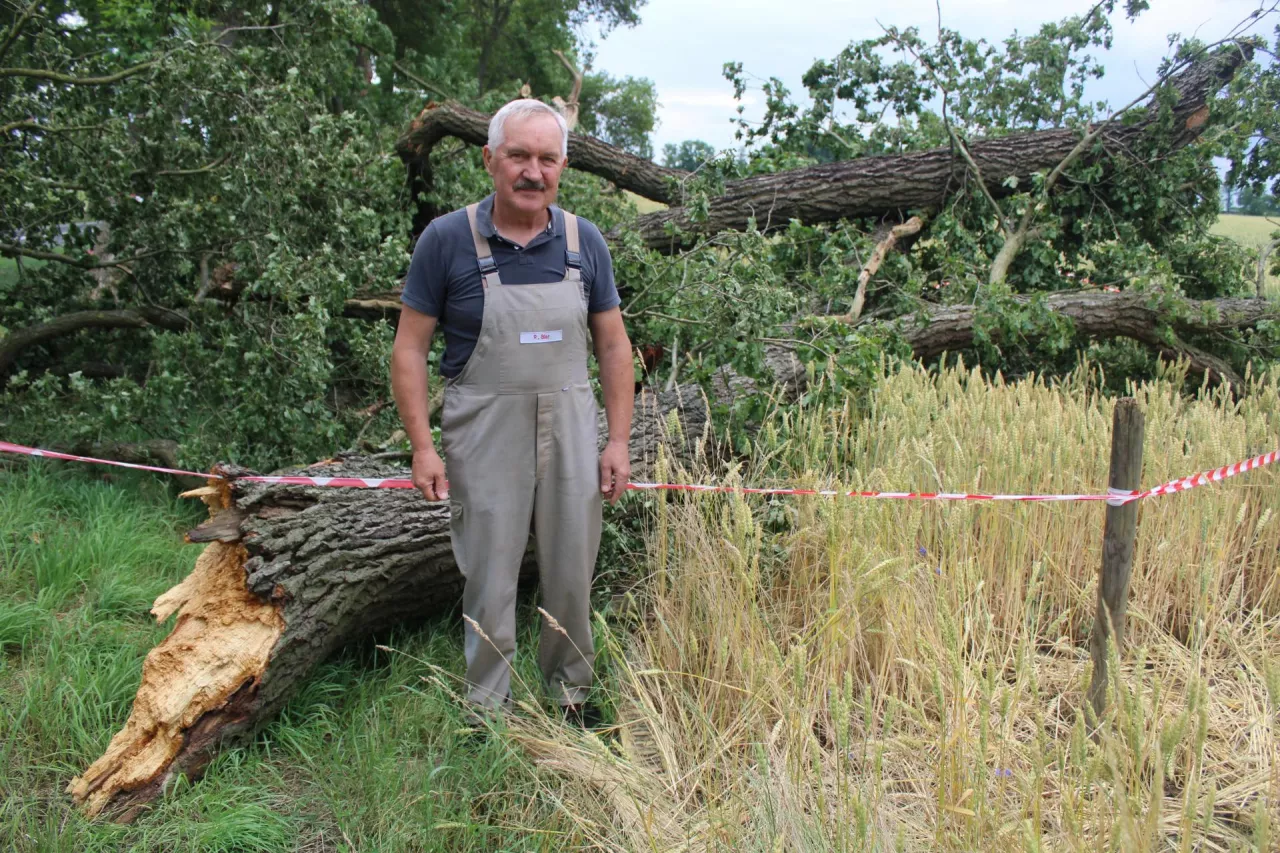 Pan Zygmunt ciągle nie może zrozumieć, jak to wszystko jest możliwe