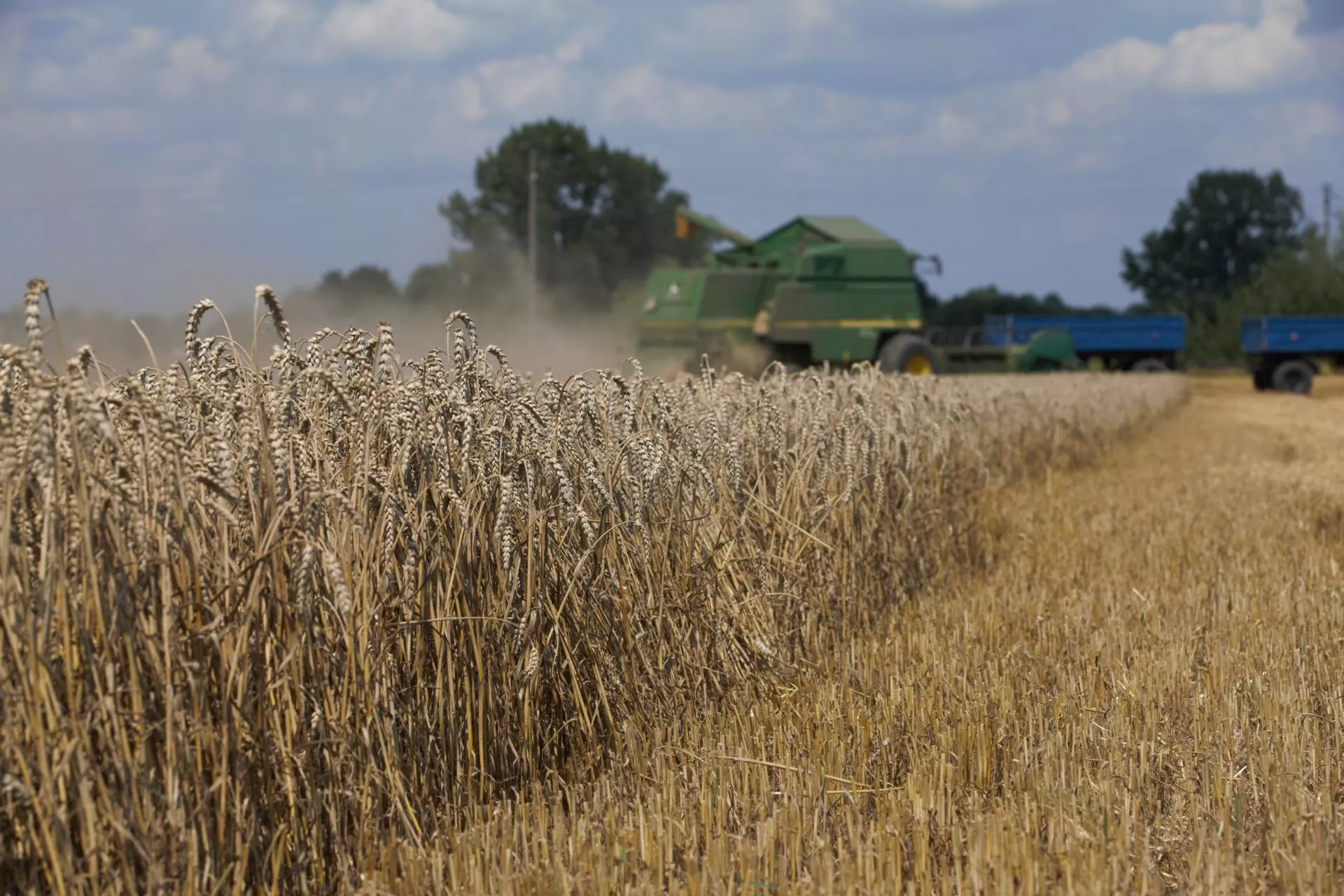 Żniwa 2025: Najtrudniejszy sezon od lat? Rolnicy kontra deszcz, błoto i niskie ceny