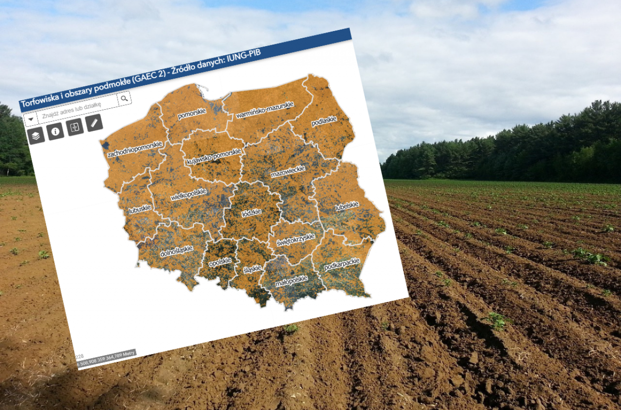 ARiMR ujawni dane. Granice działek i uprawy dostępne online dla wszystkich