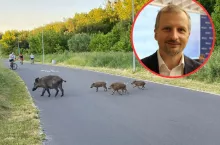 Zakaz polowań na terenie lasów społecznych? MKiŚ wyjaśnia